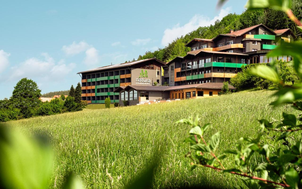 Natura Hotel Bodenmais - Inkl Soft- Und Heissgetraenkeflat Exteriér fotografie