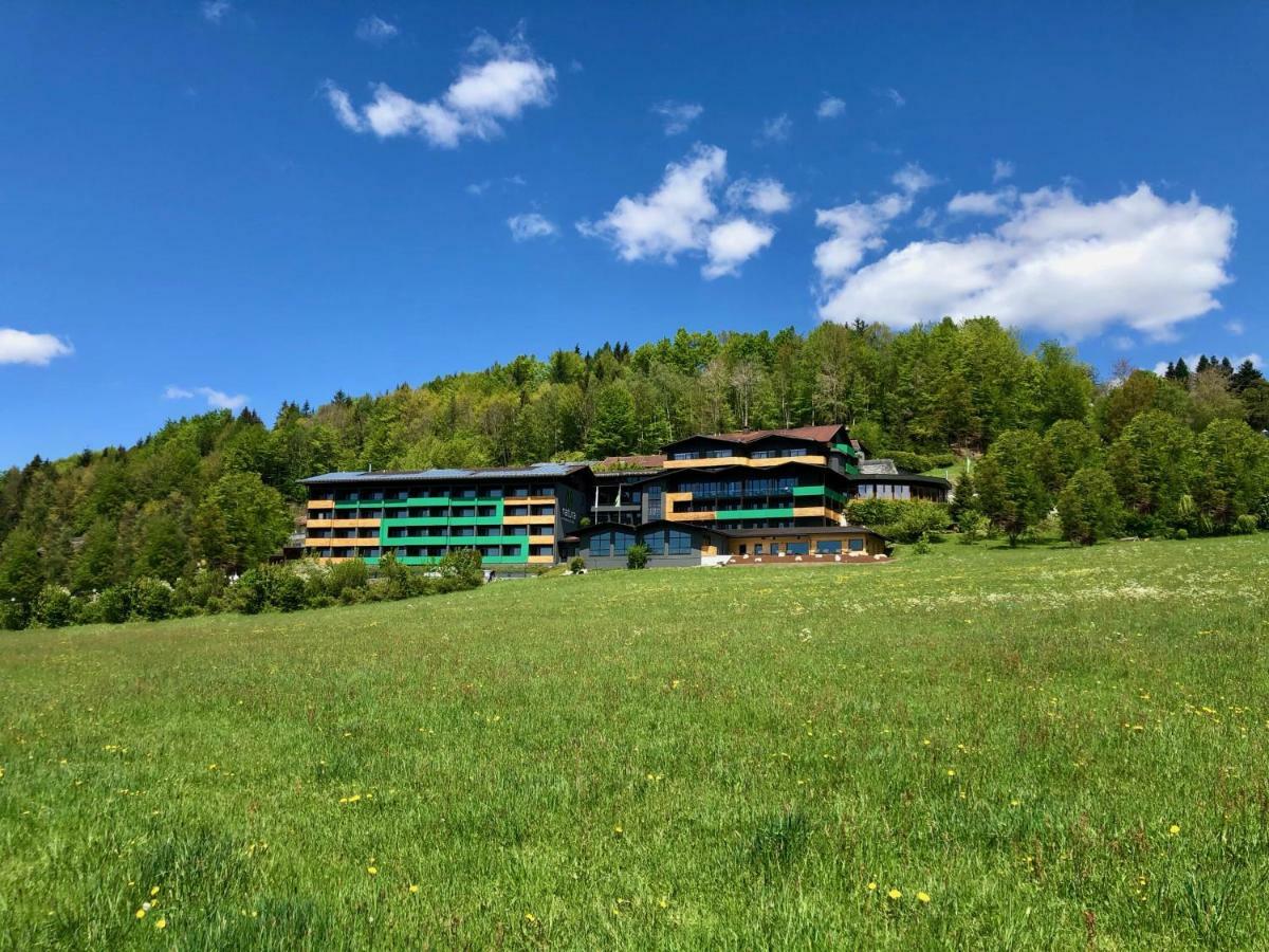 Natura Hotel Bodenmais - Inkl Soft- Und Heissgetraenkeflat Exteriér fotografie